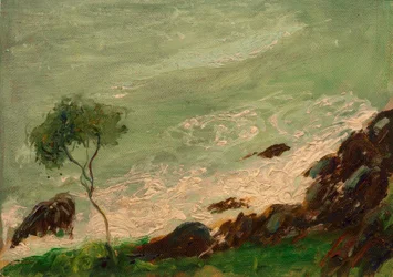 Baum am Meer bei Rapallo